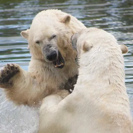 Pasescia Bed And Breakfast. Bed & Breakfast Kolind